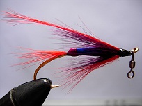 mouche red shrimp emerillon